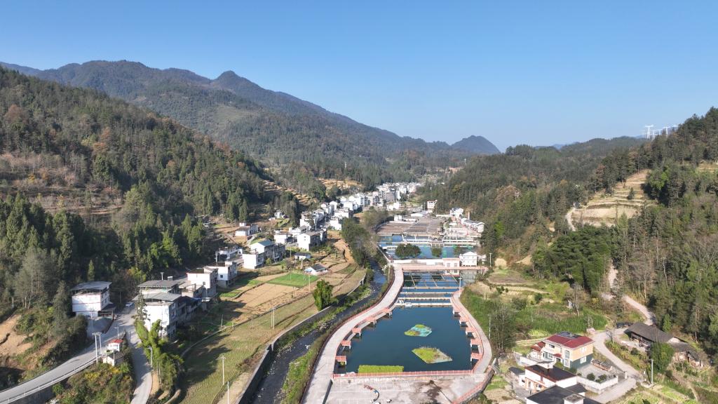 DJI_0795