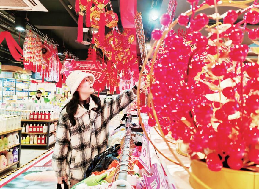 QQ截图20240206100743