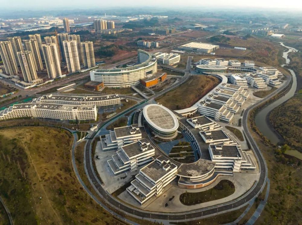 重庆瞭望12个字读懂重庆新春第一会的深意