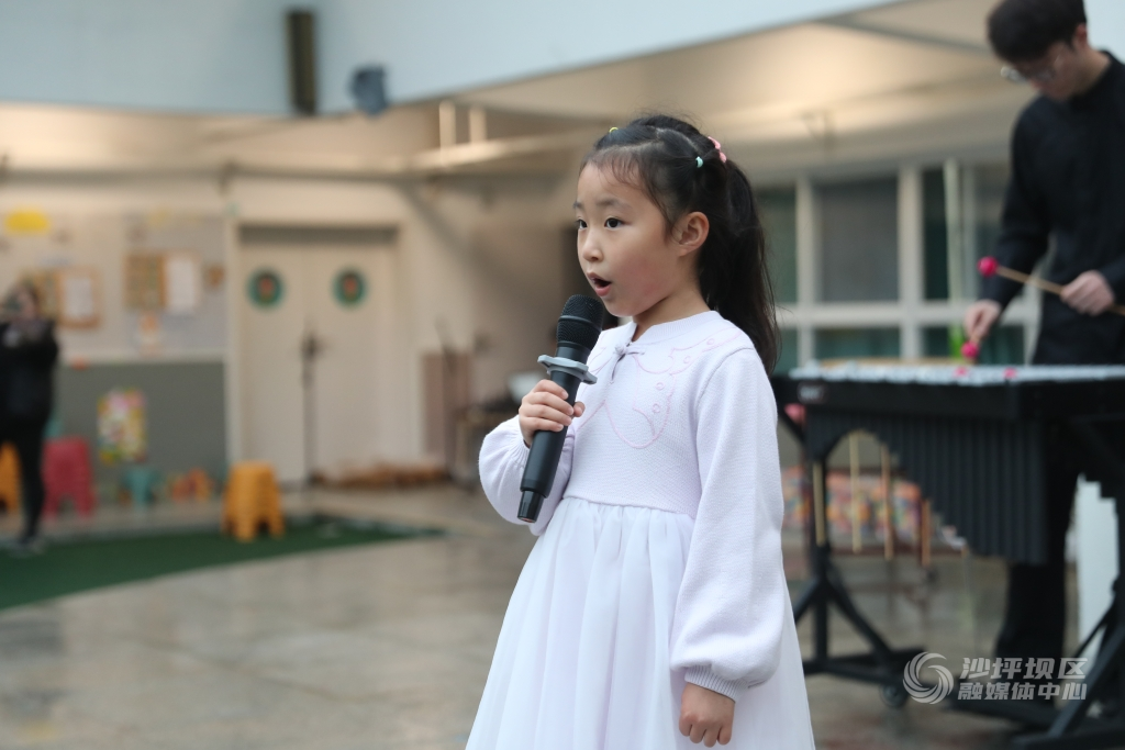 音乐节 (3)