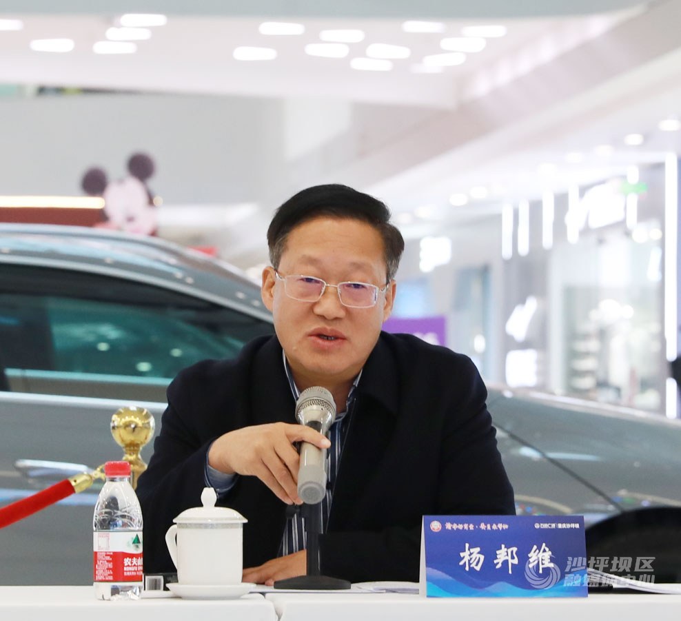杨邦维讲话-NEP1_20231120_C002378763