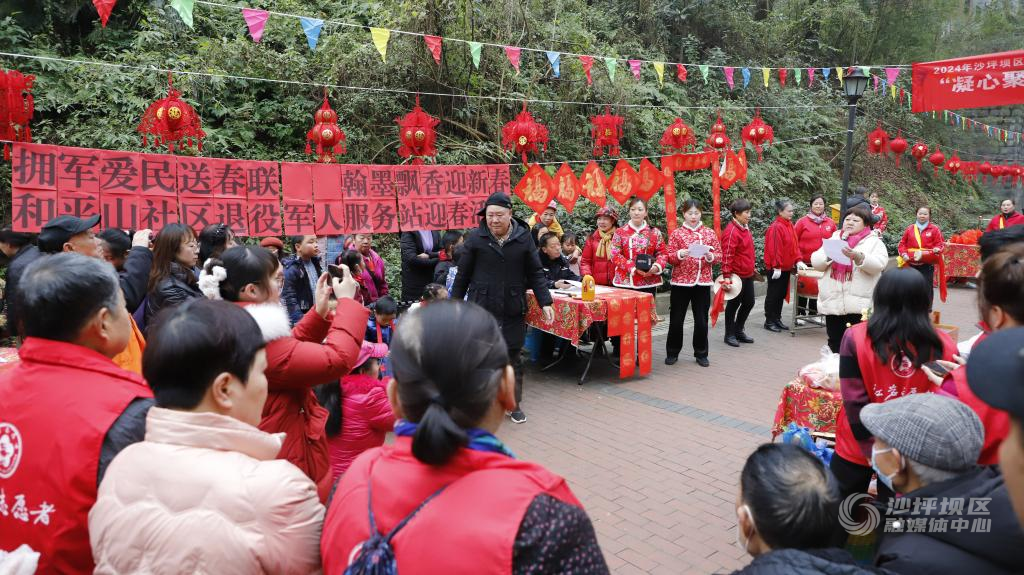 迎春 (1)