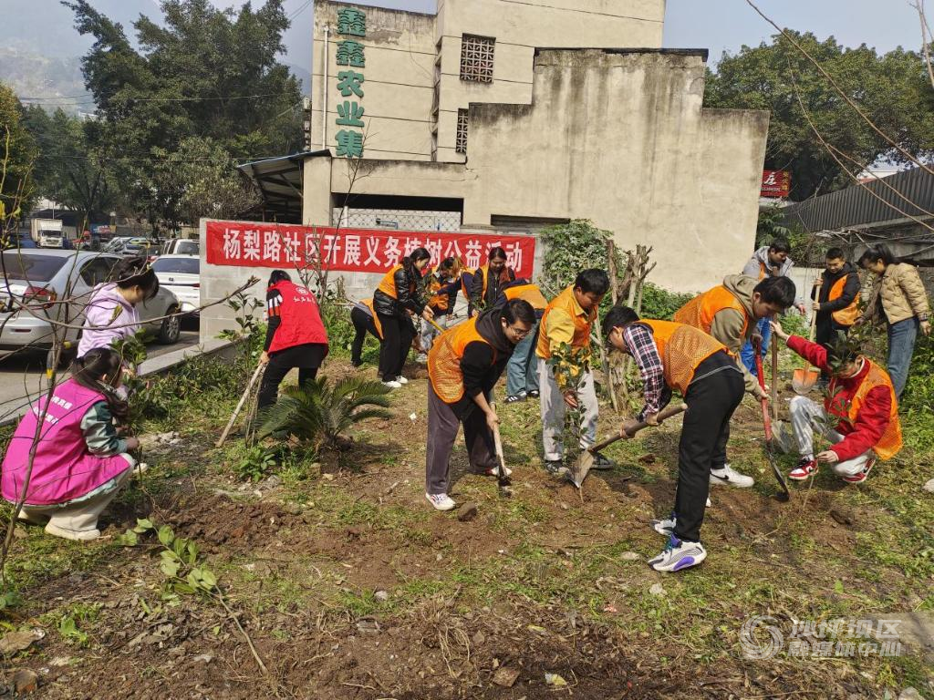渝碚路街道杨梨路社区联合重庆建工住宅建设(420080)-20240312151725
