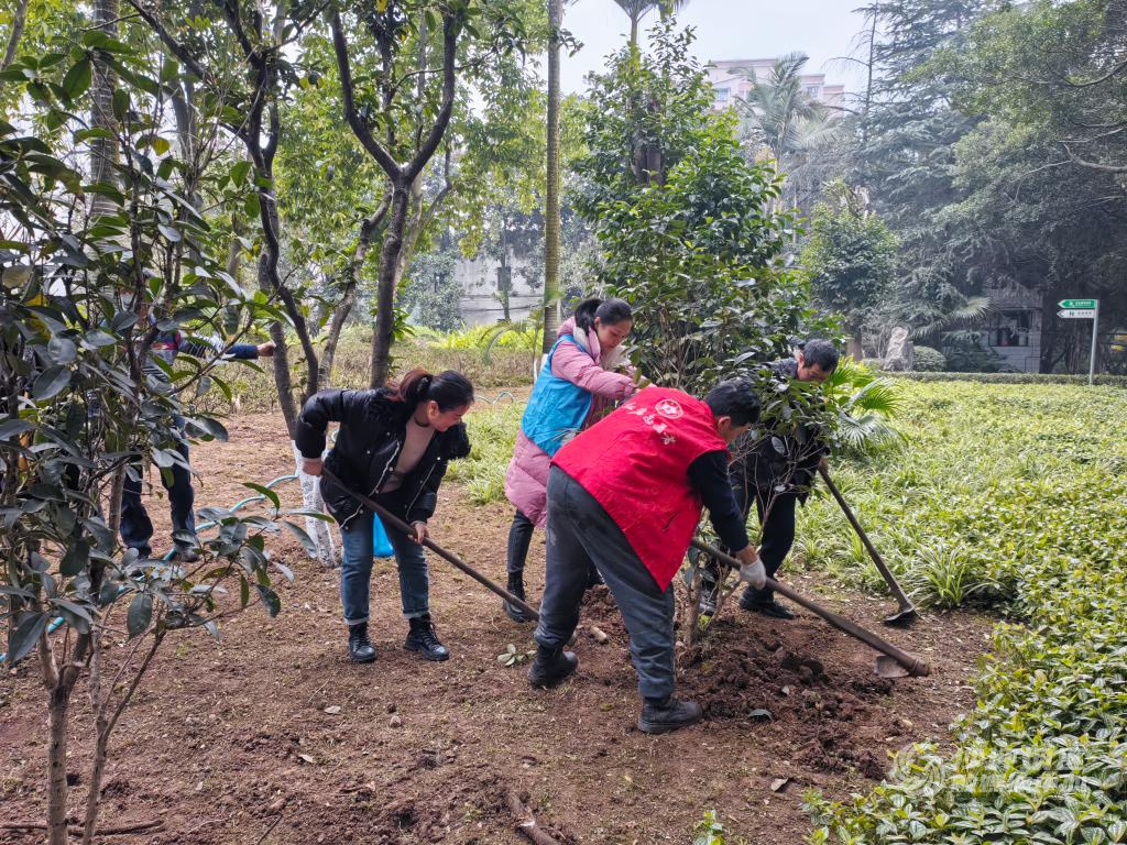 渝碚路街道南友村社区联合重庆师范大学沙坪(420092)-20240312151732
