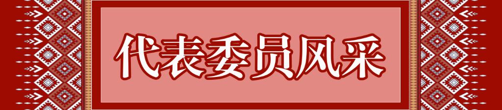 代表委员风采