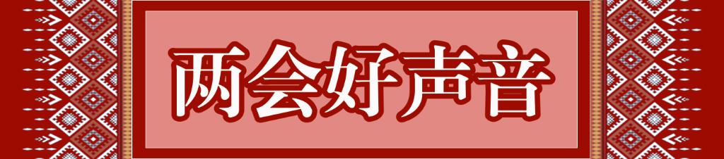 两会好声音
