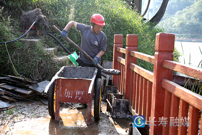 但渡镇防洪及饮水源保护工程已完成92% (4)