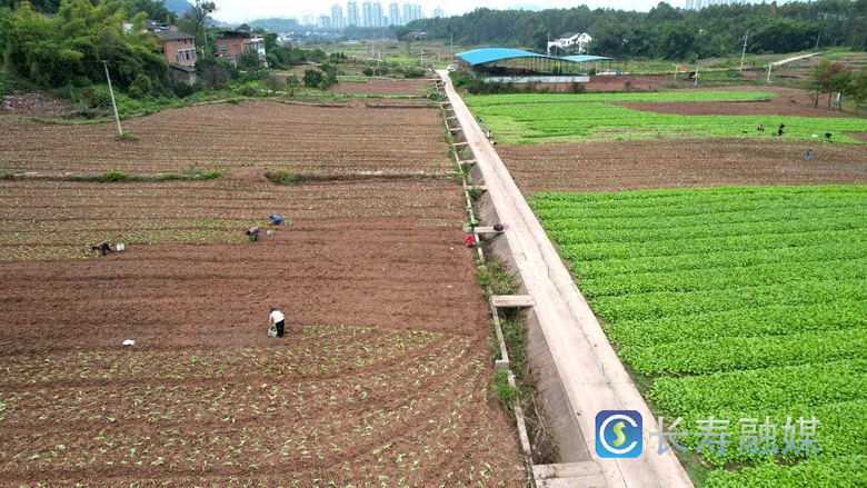 渡舟街道恢复“集中连片”耕地200余亩1