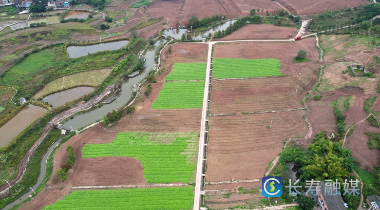 渡舟街道恢复“集中连片”耕地200余亩3
