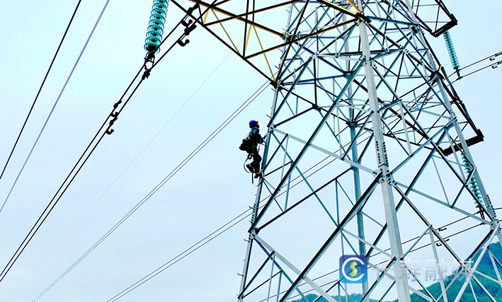 新型驱鸟器“上岗” 护鸟保电两不误 (2)