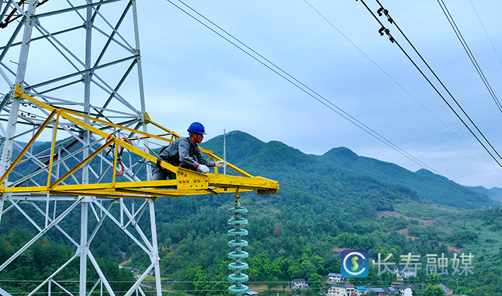 新型驱鸟器“上岗” 护鸟保电两不误 (1)