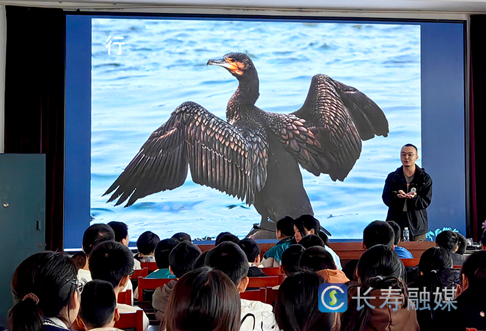 野生动物保护宣传进校园 (1)