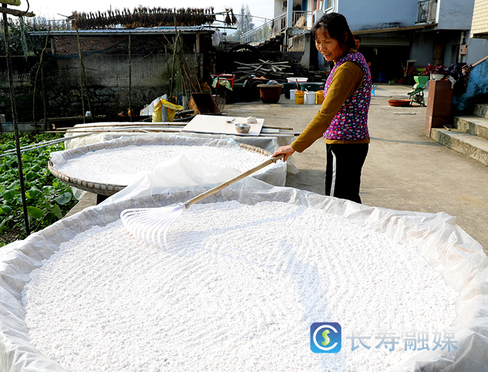 邓红英把滞销红薯变成抢手货 (3)