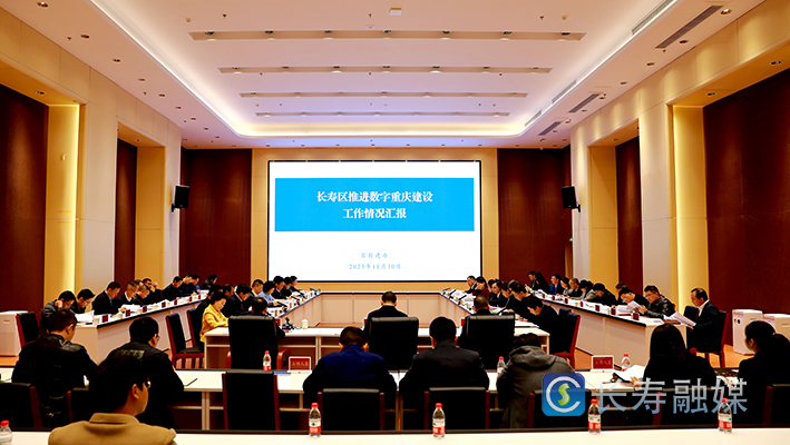 我区召开推进数字重庆建设领导小组例会第八次会议 (1)