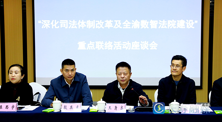 深化司法体制改革及全渝数智法院建设重点联络活动走进长寿 (4)