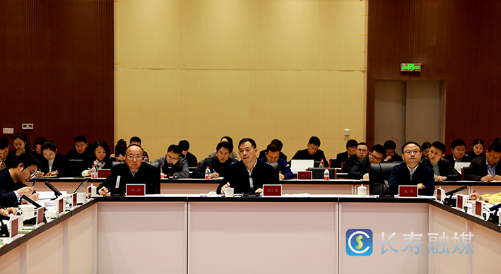 我区召开推进数字重庆建设领导小组例会第八次会议 (3)