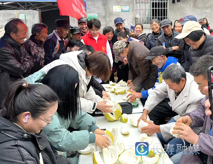 长寿湖苍头村柚说柚笑 (1)