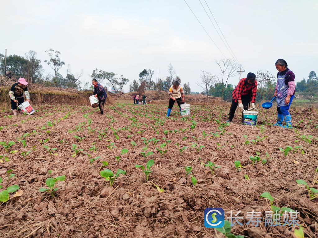 老板回乡当“农夫”2