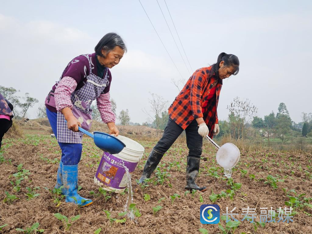老板回乡当“农夫”1
