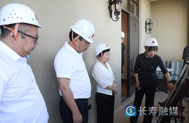 区领导调研长寿湖文化产业园项目1