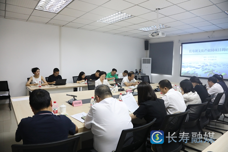区领导调研长寿湖文化产业园项目3