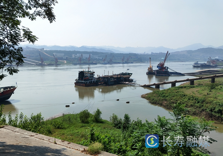 长寿立足优势 抢抓机遇 全力推进生产服务型国家物流枢纽建设 (1)