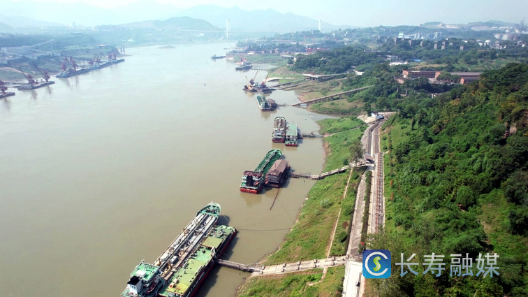 长寿立足优势 抢抓机遇 全力推进生产服务型国家物流枢纽建设 (3)
