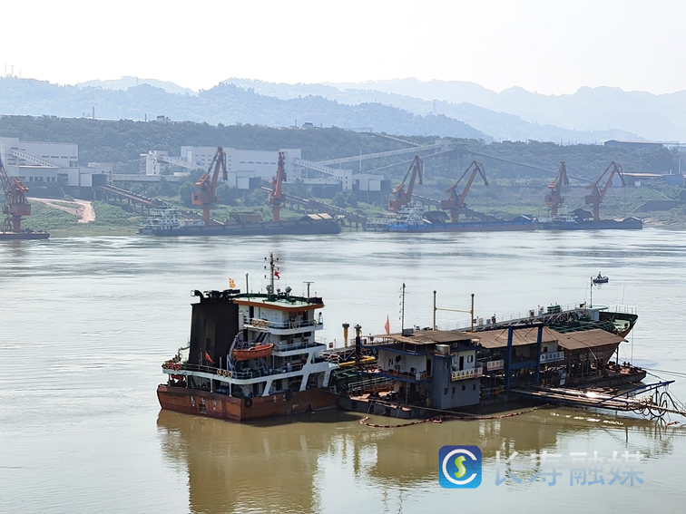 长寿立足优势 抢抓机遇 全力推进生产服务型国家物流枢纽建设 (4)