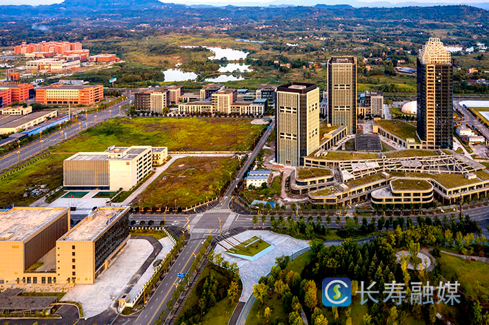 长寿高新区以高素质人才队伍推动园区高质量发展 (2)