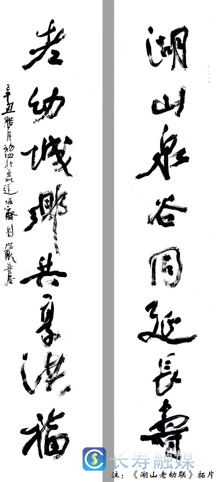 我区向市政协文史馆(书画院)捐赠书法作品《湖山老幼联》 (3)