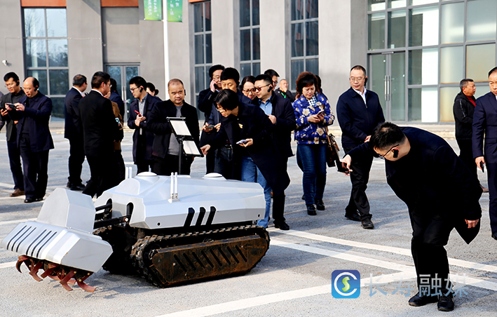 全市春季农业生产现场会伏羲农场+肖娅 (6)
