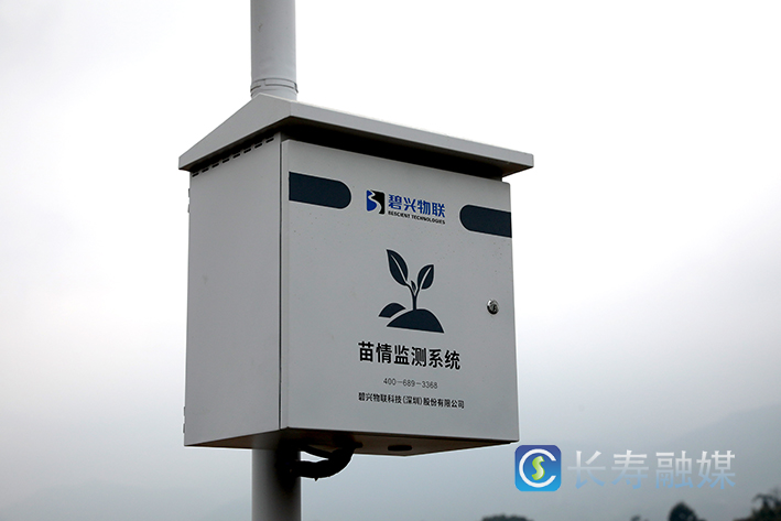 长寿高标准农田有了“气象智慧大脑” (3)