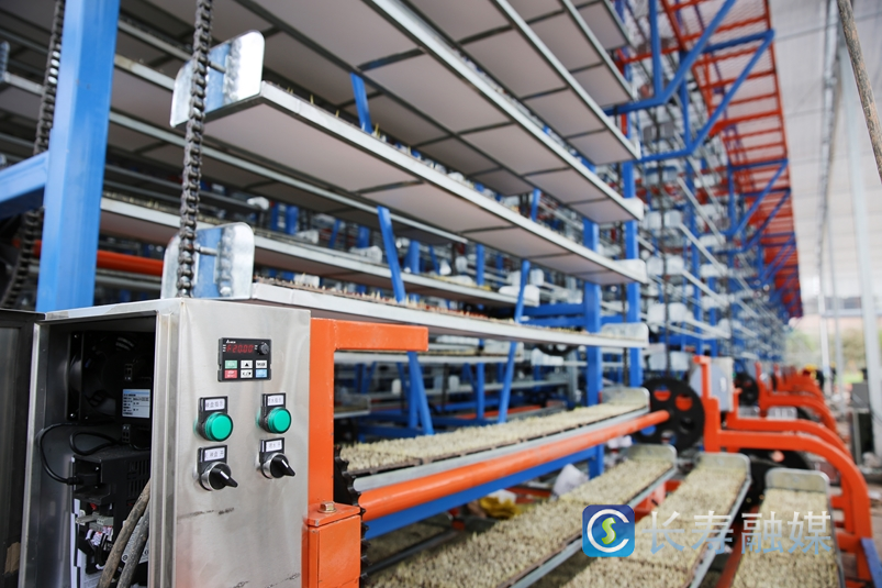 云台镇农业社会化服务基地2