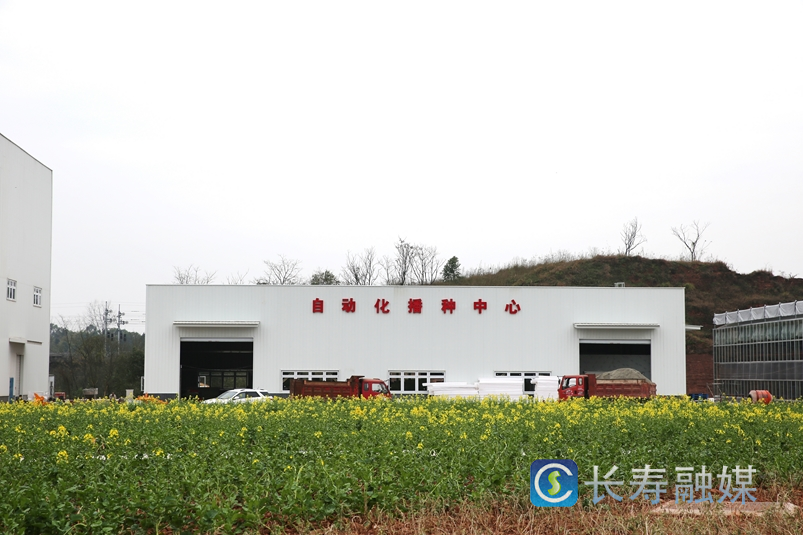 云台镇农业社会化服务基地1