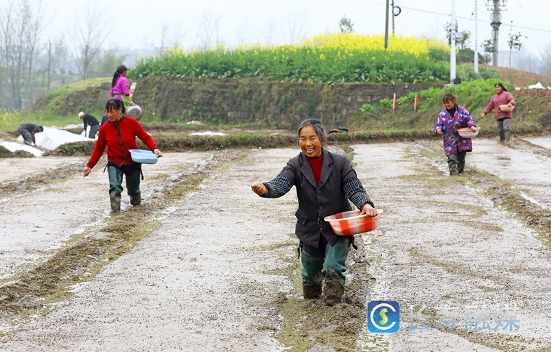长寿：夯实“三农”压舱石 推进乡村全面振兴