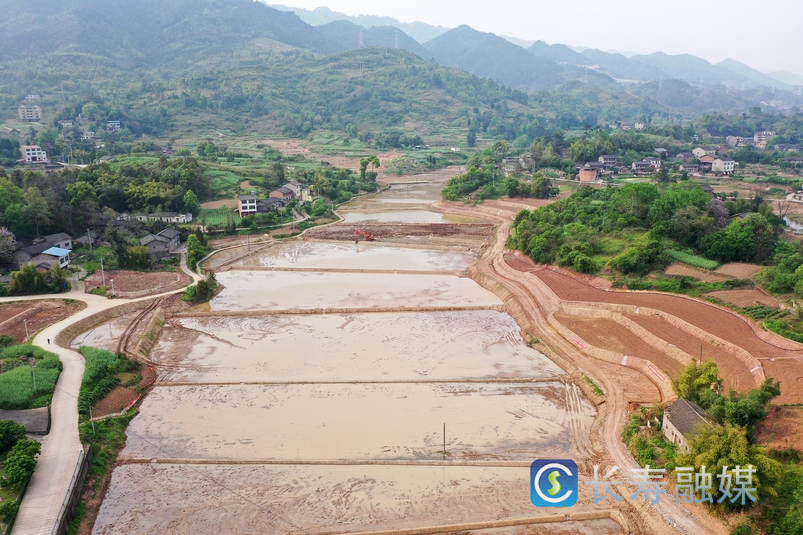 长寿：夯实“三农”压舱石 推进乡村全面振兴2