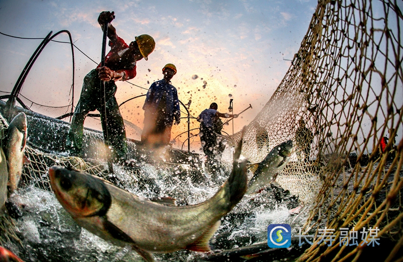 长寿：夯实“三农”压舱石 推进乡村全面振兴3