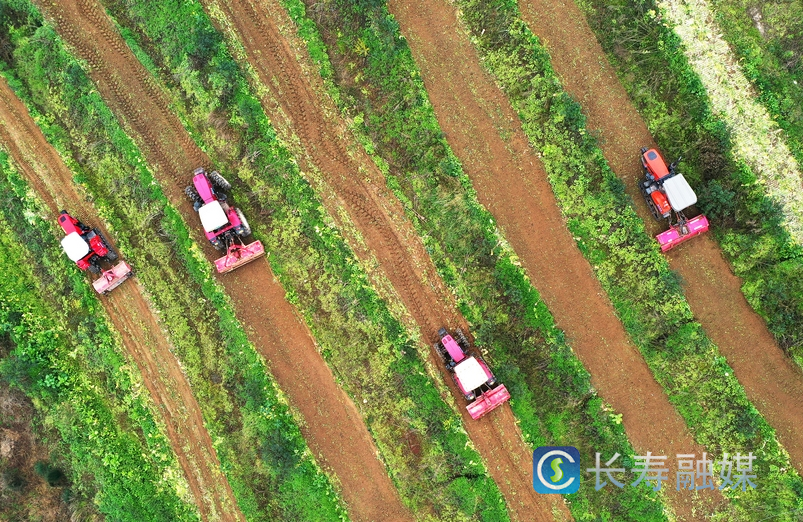 长寿：夯实“三农”压舱石 推进乡村全面振兴1