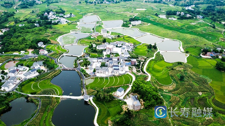 长寿：夯实“三农”压舱石 推进乡村全面振兴9