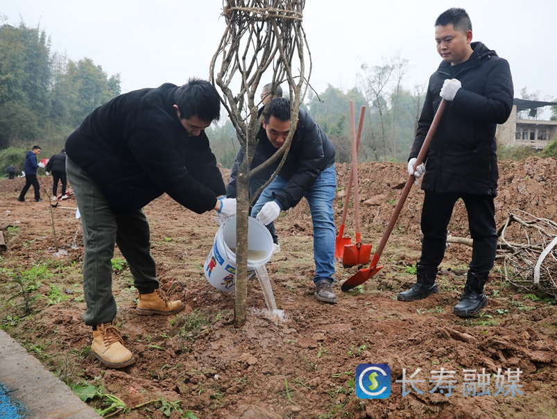 我区多部门联合开展植物活动3