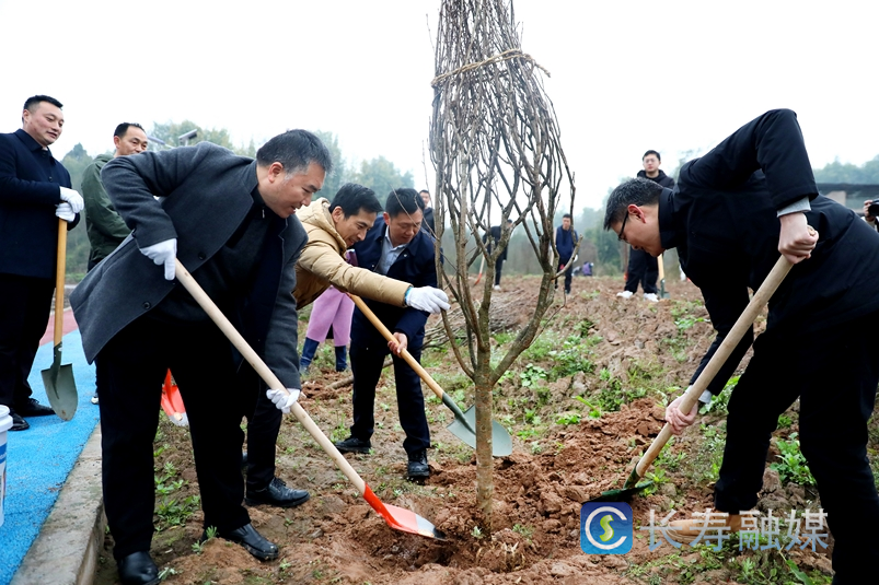 我区多部门联合开展植物活动1