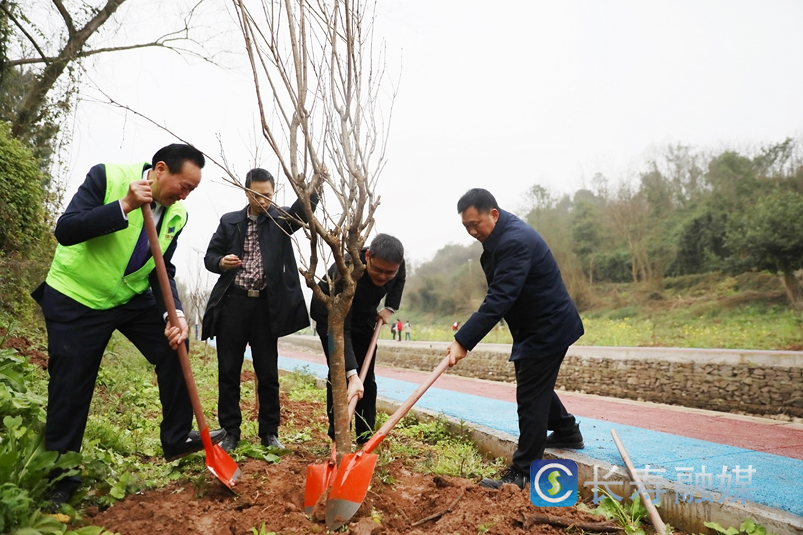 我区多部门联合开展植物活动2