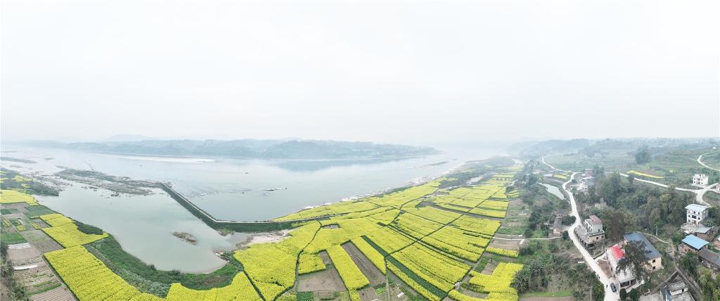 acafee893aca4a2fa65d6d83efdbc9fd