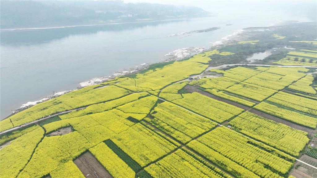 01ce26f2444047c984f26094f72bb79d