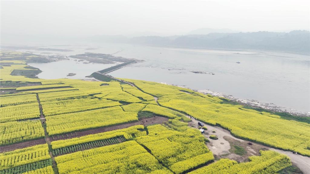 a46a38d125b348ceba14c2ad3f743aa5