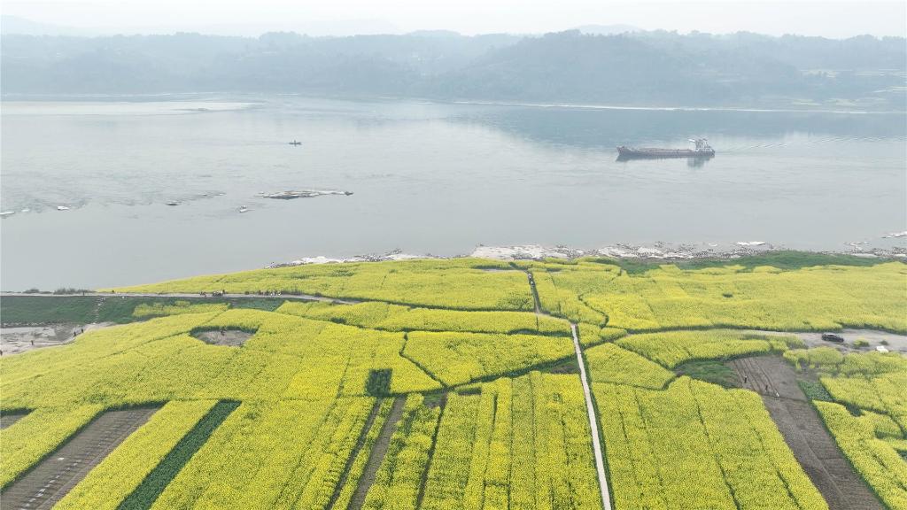 1820703d43d94fc6b4e4c0c757e93eac